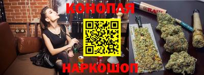 МДПВ Новокубанск
