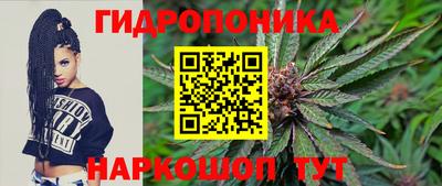 Альфа ПВП Новодвинск