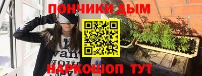 шишки Новозыбков